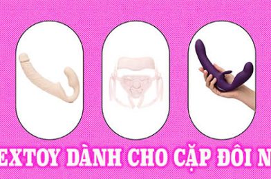 Khám Phá Thế Giới Sextoy Dành Cho Cặp Đôi Nữ – Nữ – Tình Yêu Thăng Hoa